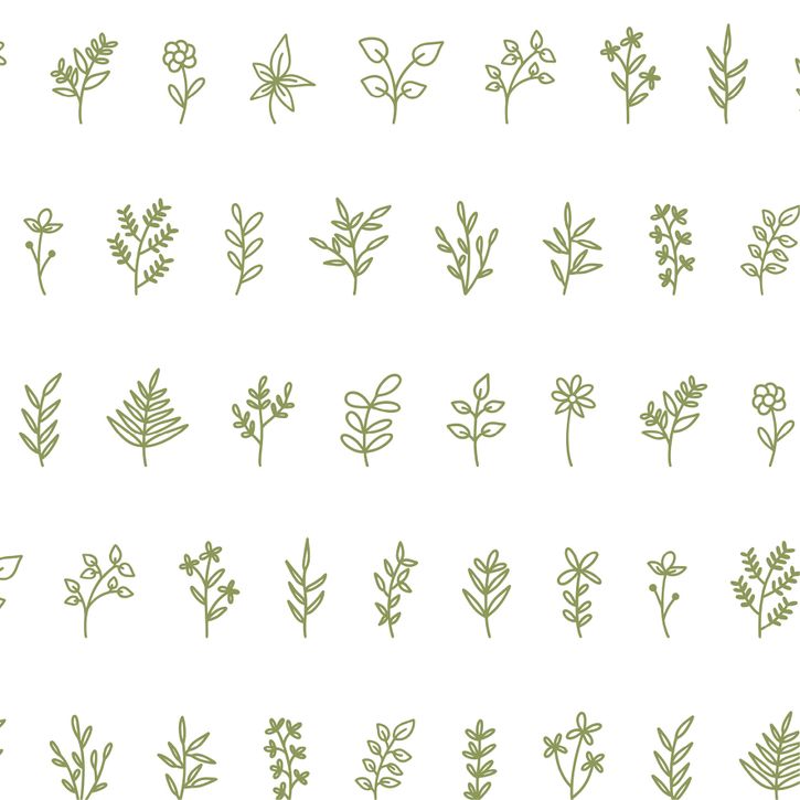 Geschenkpapier grüne Zweige 1 Bogen DIN A3 von Emma Plitt Design | 2