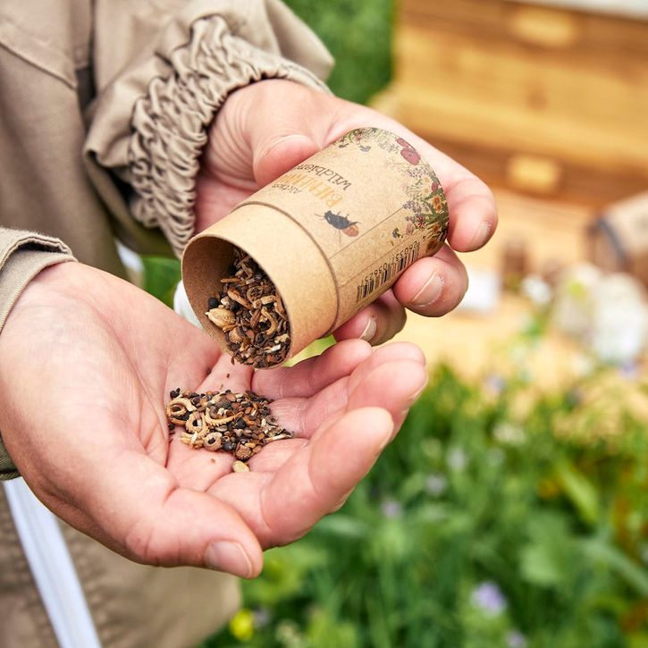 Bienenwohl - Wildbienenwiese - Saatgut für 30 qm von Die Stadtgärtner | 2